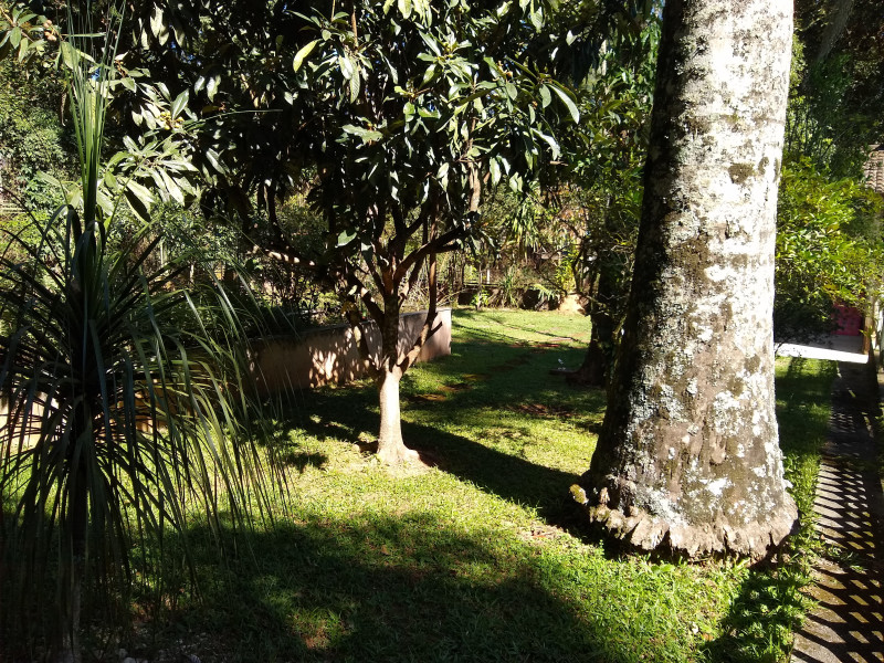 Chácara à venda Caceia  com 320m² e 4 quartos por R$ 850.000 - quintal-1.jpg