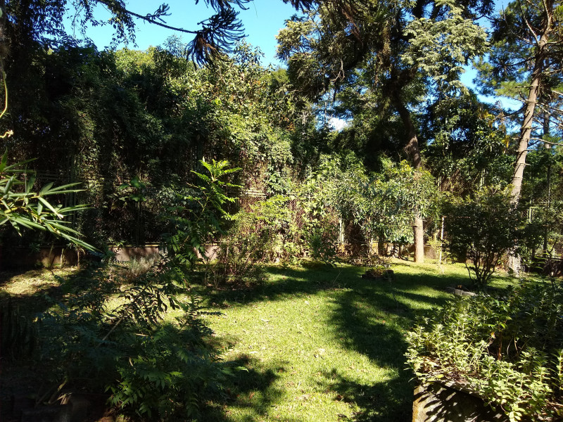 Chácara à venda Caceia  com 320m² e 4 quartos por R$ 850.000 - quintal-2.jpg