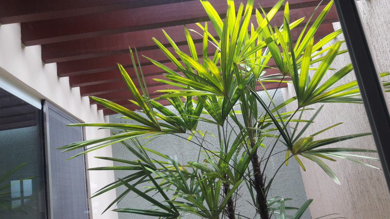 Casa à venda Residencial Village Santana com 250m² e 4 quartos por R$ 750.000 - 1335299657-20170113-113726-2017-12-15-16-34-16-utc.jpg