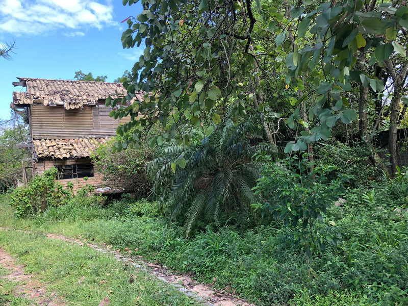 Terreno à venda Rio Tavares com 4400m² e 1 quarto por R$ 8.000.000 - 1140431608-photo-2022-11-10-14-32-50-5.jpg