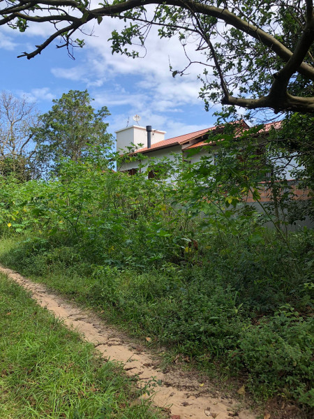 Terreno à venda Rio Tavares com 4400m² e 1 quarto por R$ 8.000.000 - 1897433913-photo-2022-11-10-14-32-50-9.jpg