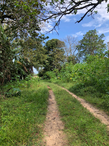 Terreno à venda Rio Tavares com 4400m² e 1 quarto por R$ 8.000.000 - 2100721547-photo-2022-11-10-14-32-50-10.jpg
