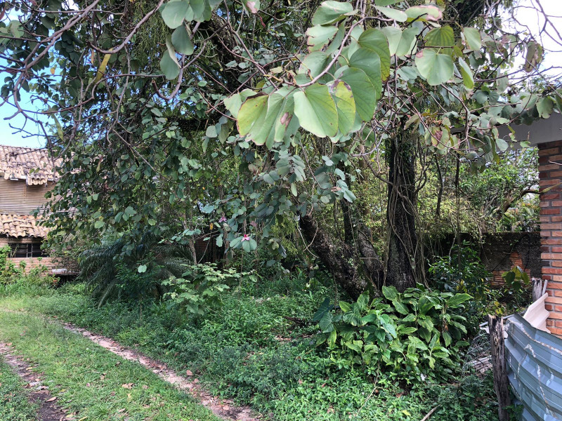 Terreno à venda Rio Tavares com 4400m² e 1 quarto por R$ 8.000.000 - 372940424-photo-2022-11-10-14-32-50-4.jpg