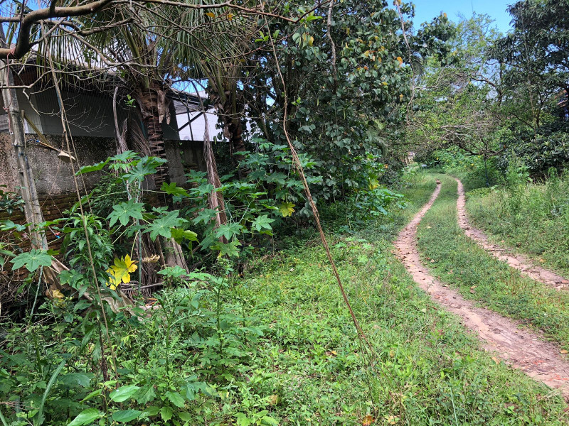 Terreno à venda Rio Tavares com 4400m² e 1 quarto por R$ 8.000.000 - 388759154-photo-2022-11-10-14-32-50-8.jpg