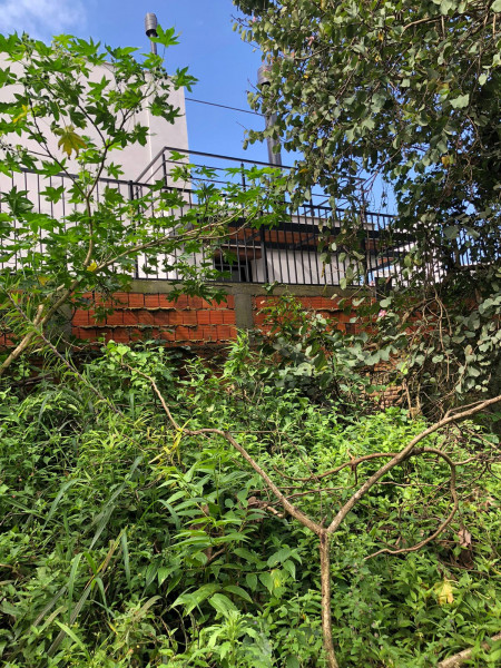 Terreno à venda Rio Tavares com 4400m² e 1 quarto por R$ 8.000.000 - 529008227-photo-2022-11-10-14-32-50-11.jpg