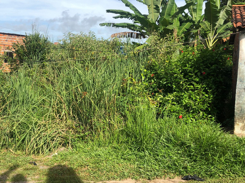 Terreno à venda Praia de Tairu com 18m² e 1 quarto por R$ 15 - 109840485-img-20220103-wa0007.jpg