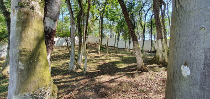 Chácara à venda Parque Industrial do Pinheirinho com 406m² e 4 quartos por R$ 950.000 - 293995316-whatsapp-image-2020-12-01-at-17.jpeg