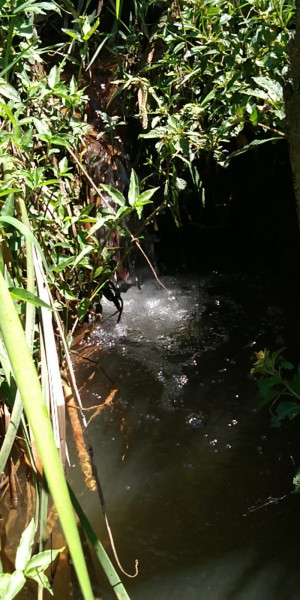 Terreno à venda Centro com 2215m² e 1 quarto por R$ 200.000 - 1092282345-whatsapp-image-2023-01-13-at-11.jpeg