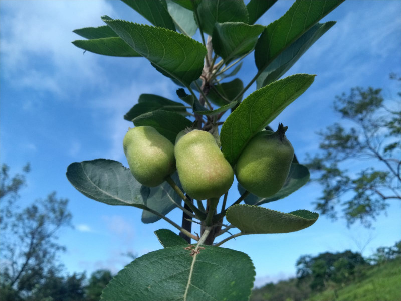Terreno à venda Centro com 2215m² e 1 quarto por R$ 200.000 - 1412578905-whatsapp-image-2022-12-15-at-18.jpeg