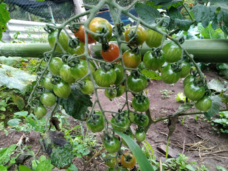 Terreno à venda Centro com 2215m² e 1 quarto por R$ 200.000 - 945666111-whatsapp-image-2022-12-15-at-18.jpeg