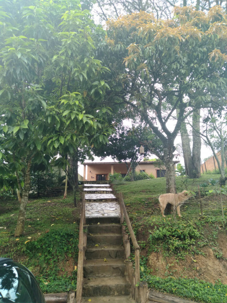 Chácara à venda Setor Comercial com 645m² e 2 quartos por R$ 450.000 - 1691232504-20230104-145523.jpg