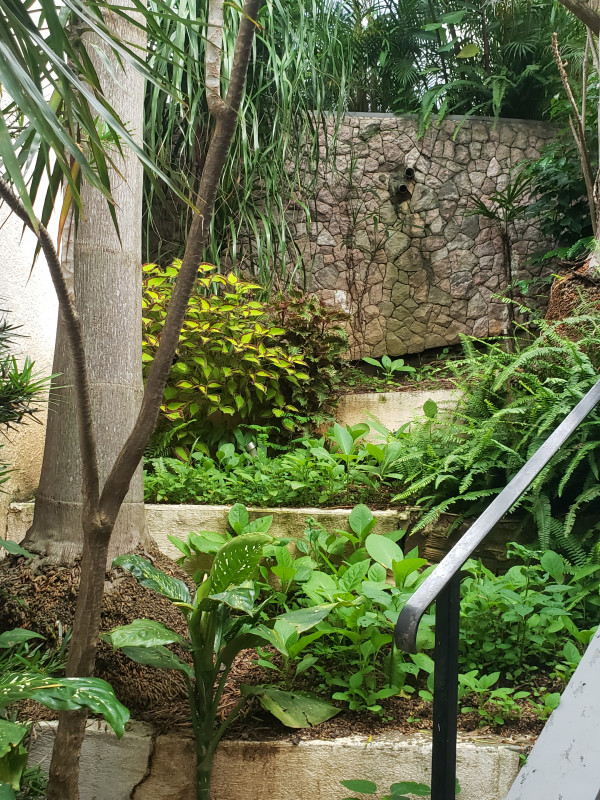 Casa à venda Jardim Semiramis com 319m² e 3 quartos por R$ 1.250.000 - 344940438-20230113-180201.jpg