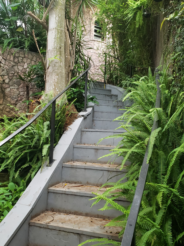 Casa à venda Jardim Semiramis com 319m² e 3 quartos por R$ 1.250.000 - 450004550-20230113-180207.jpg