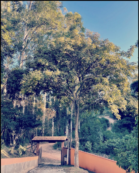 Chácara à venda Fazenda da Mata com 3000m² e 3 quartos por R$ 750.000 - 2079727756-732e53dd-828c-4ac2-acc8-cae70d10d118.jpeg