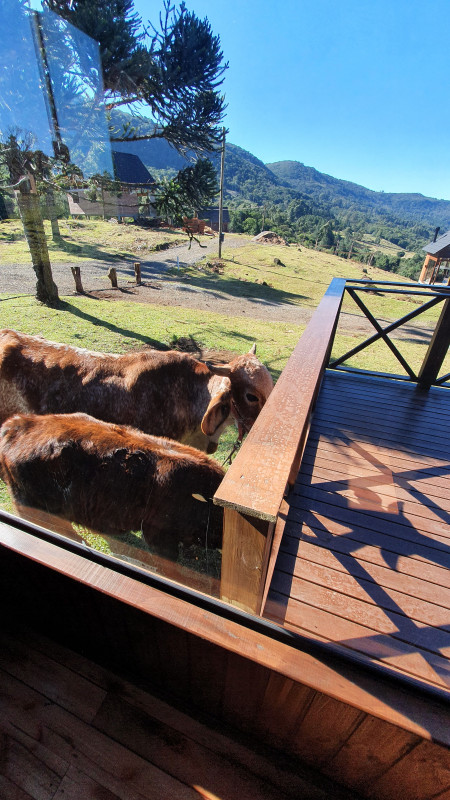 Chácara à venda Centro com 500m² e 1 quarto por R$ 389.000 - 1016315589-20220618-114418.jpg