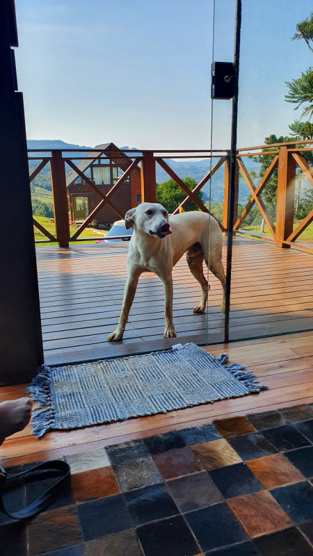 Chácara à venda Centro com 500m² e 1 quarto por R$ 389.000 - 1025633880-20220803-103606.jpg