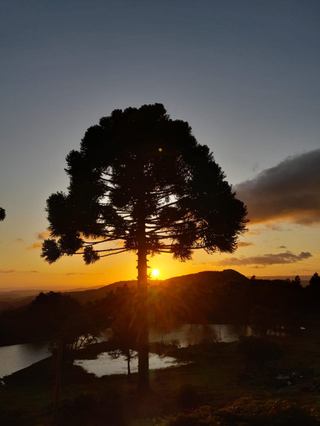 Chácara à venda Centro com 500m² e 1 quarto por R$ 389.000 - 1086534243-img-20221127-wa0046.jpg