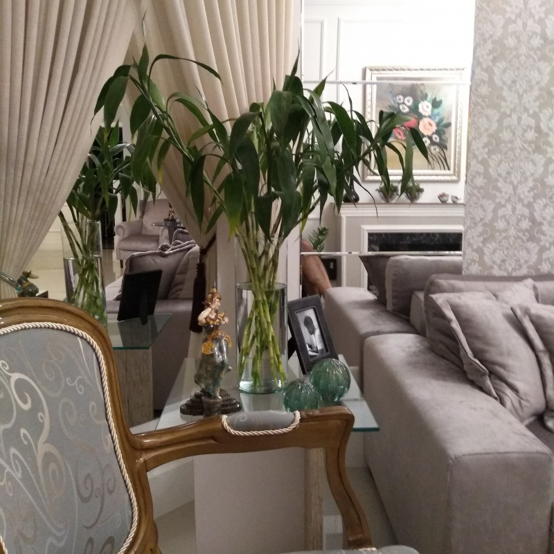 Casa à venda Jardim Sul com 210m² e 3 quartos por R$ 750.000 - 1958973981-img-20210711-200349-210.jpg
