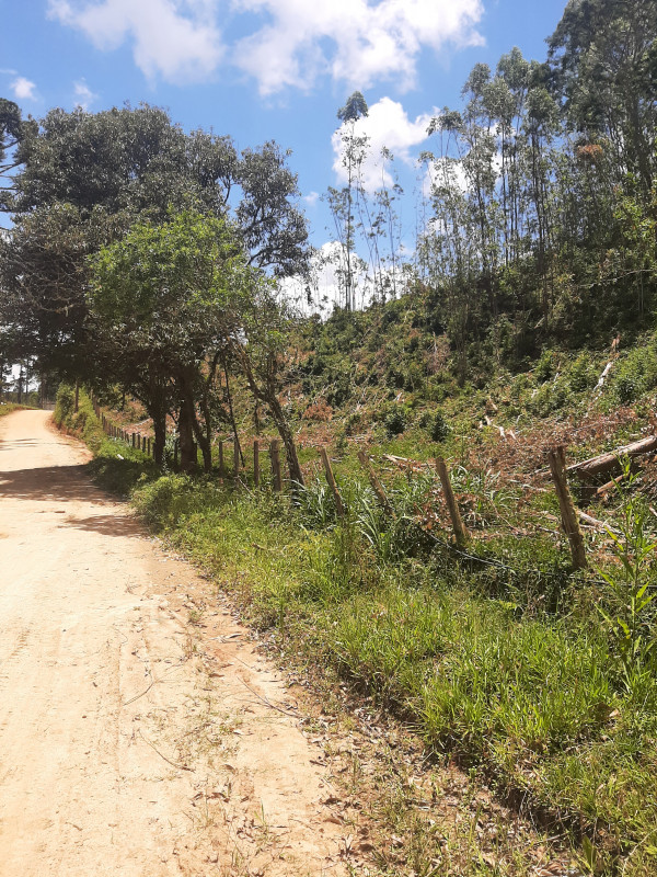 Terreno à venda Centro com 24m² e 1 quarto por R$ 150.000 - 1812093676-20230118-114851.jpg