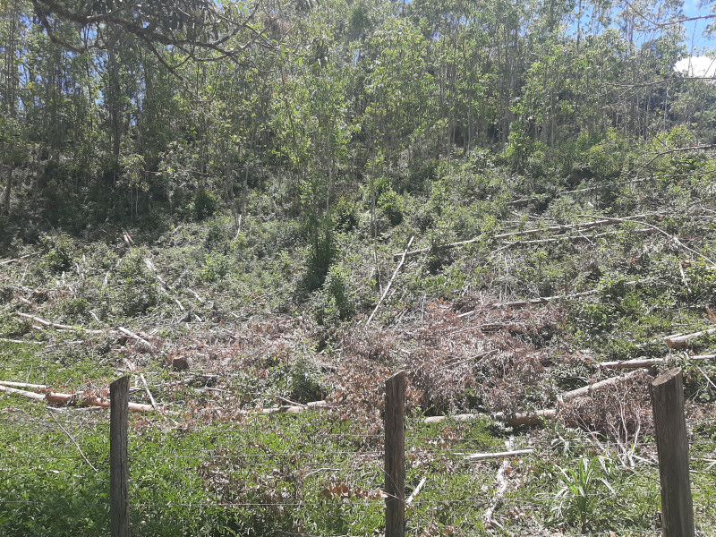 Terreno à venda Centro com 24m² e 1 quarto por R$ 150.000 - 1828638384-20230118-114910.jpg