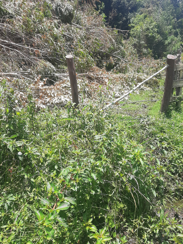 Terreno à venda Centro com 24m² e 1 quarto por R$ 150.000 - 315394631-20230118-114846.jpg