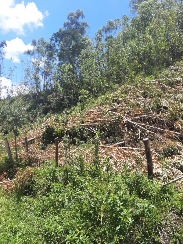 Terreno à venda Centro com 24m² e 1 quarto por R$ 150.000 - 656290640-20230118-114835.jpg