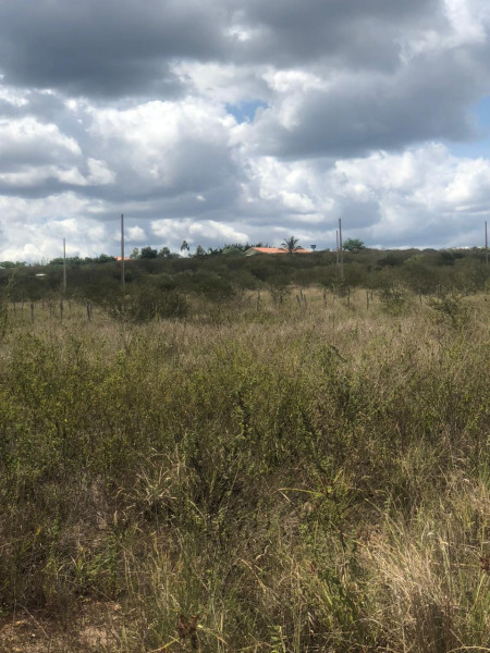 Terreno à venda Loteamento joao Paulo II  com 15m² e 1 quarto por R$ 28.000 - 1585921503-img-20230115-wa0070.jpg