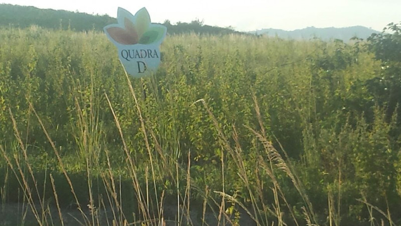 Terreno à venda Loteamento joao Paulo II  com 15m² e 1 quarto por R$ 28.000 - 1740925546-img-20230113-wa0096.jpg