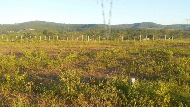 Terreno à venda Loteamento joao Paulo II  com 15m² e 1 quarto por R$ 28.000 - 2127466400-img-20230113-wa0101.jpg