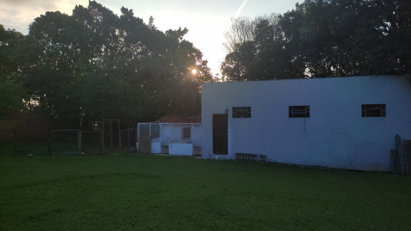 Chácara à venda Éden com 4700m² e 4 quartos por R$ 1.100 - 1406442226-img-20211029-wa0020.jpeg