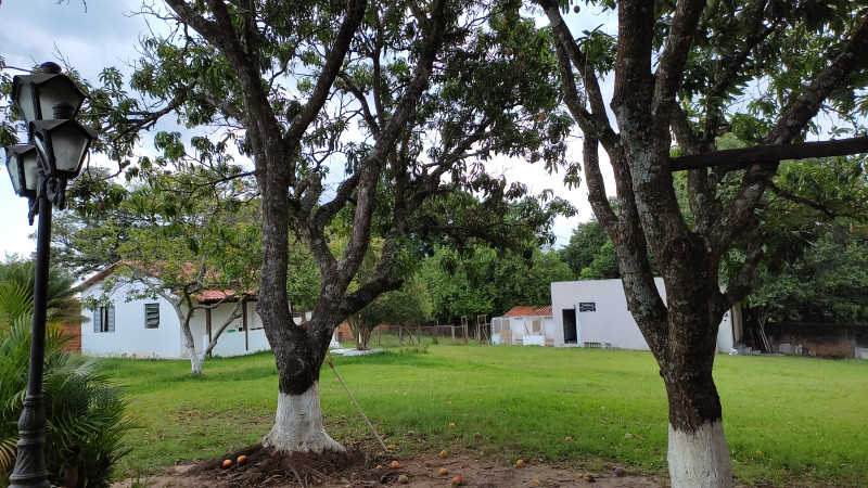 Chácara à venda Éden com 4700m² e 4 quartos por R$ 1.100 - 8349347-img-20211229-wa0007.jpeg