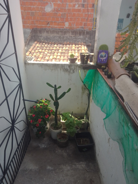 Casa à venda Barra do Ceará com 140m² e 3 quartos por R$ 130.000 - 337571255-img-20221104-111135-869.jpg