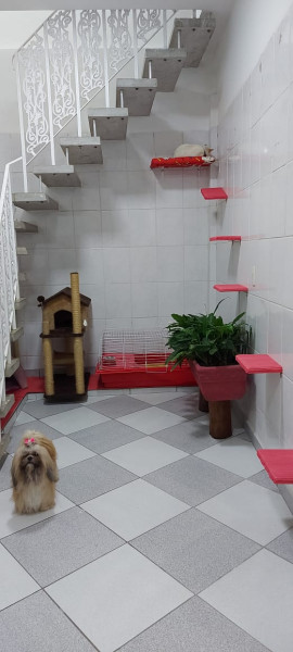 Casa à venda Vila California(Zona Sul) com 260m² e 4 quartos por R$ 850.000 - 1001311959-espaco-para-pets.jpeg