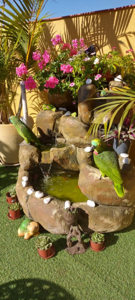 Casa à venda Vila California(Zona Sul) com 260m² e 4 quartos por R$ 850.000 - 1518961099-whatsapp-image-2020-07-21-at-17.jpeg