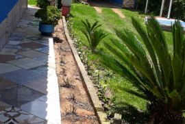 Chácara à venda cupim com 4000m² - 2 dormitórios -  vagas - R$ 320.000 - 1143322403-20230122-124825.jpg