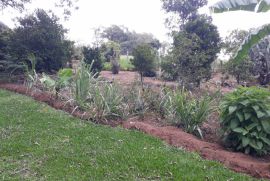 Chácara à venda cupim com 4000m² - 2 dormitórios -  vagas - R$ 320.000 - 136836071-20230122-124312.jpg
