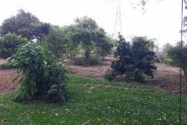 Chácara à venda cupim com 4000m² - 2 dormitórios -  vagas - R$ 320.000 - 592523974-20230122-124405.jpg