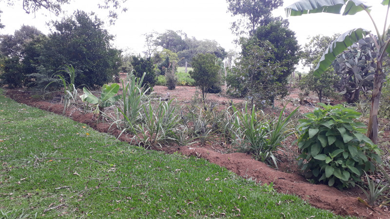 Chácara à venda cupim com 4000m² e 2 quartos por R$ 320.000 - 136836071-20230122-124312.jpg