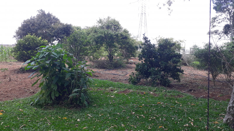Chácara à venda cupim com 4000m² e 2 quartos por R$ 320.000 - 592523974-20230122-124405.jpg