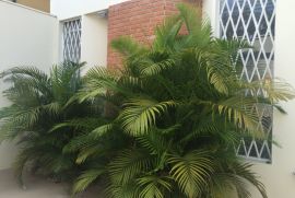 Casa à venda Aclimação com 230m² - 3 dormitórios -  vagas - R$ 2.200.000 - 662085535-img-2468.JPG