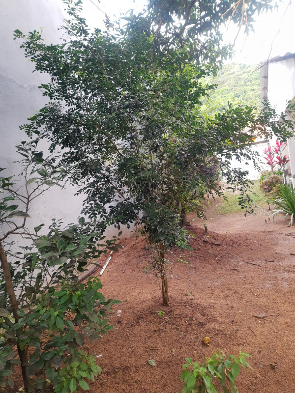 Casa à venda Campo Redondo com 220m² e 1 quarto por R$ 100.000 - 957294345-img-20230121-174924259.jpg