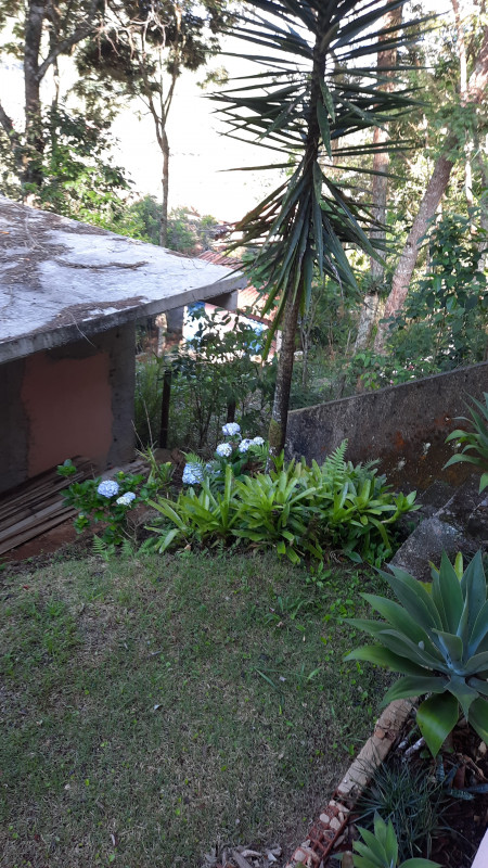 Sítio à venda Corrêas com 10200m² e 2 quartos por R$ 1.200.000 - 1374859147-img-20221121-wa0002.jpeg