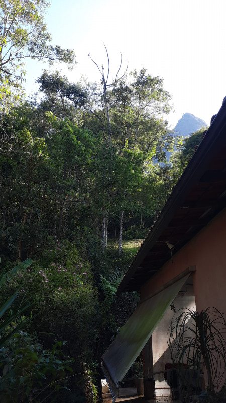 Sítio à venda Corrêas com 10200m² e 2 quartos por R$ 1.200.000 - 1791177948-img-20221121-wa0007.jpeg