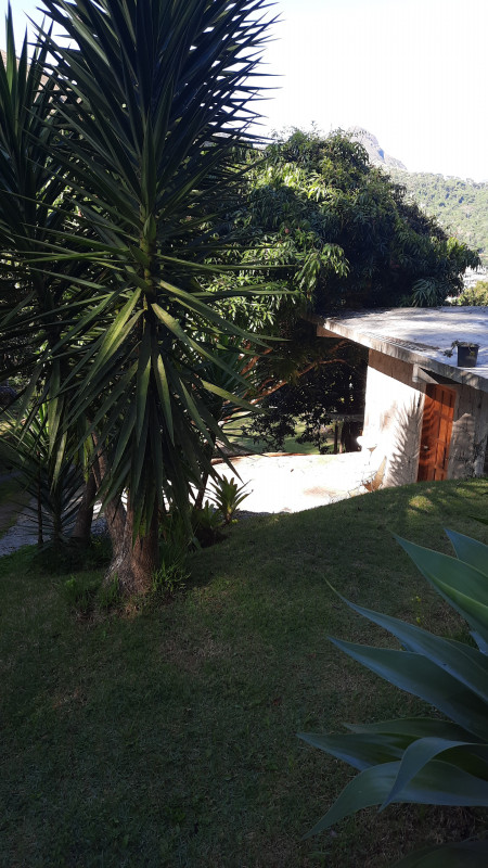 Sítio à venda Corrêas com 10200m² e 2 quartos por R$ 1.200.000 - 253413869-img-20221121-wa0015.jpeg