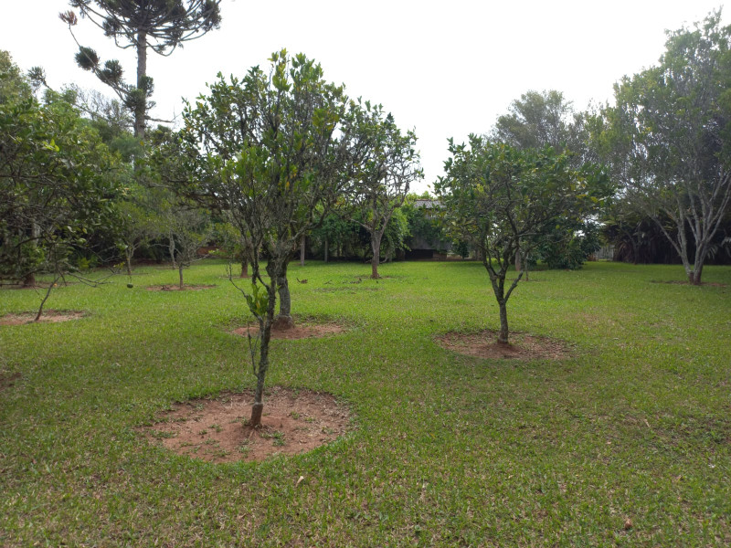 Sítio à venda Centro com 4594m² e 2 quartos por R$ 420 - 2107137981-img-20230118-wa0028.jpg