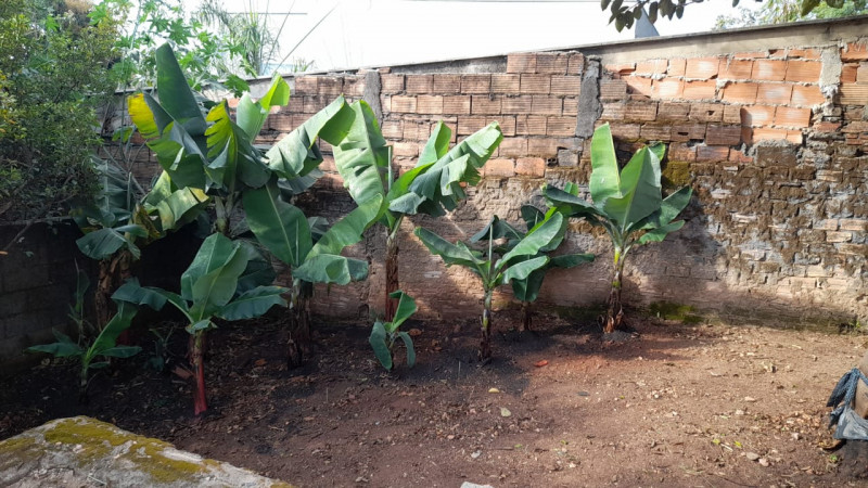 Terreno à venda Paraíso com 340m² e 1 quarto por R$ 460.000 - 1274227785-whatsapp-image-2021-07-05-at-14.jpeg