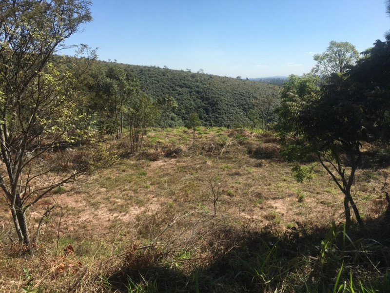 Terreno à venda Pau Arcado com 1650m² e 1 quarto por R$ 155.000 - 1947642556-vistadoplato.jpeg