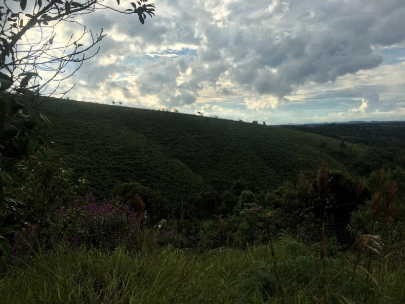 Terreno à venda Pau Arcado com 1650m² e 1 quarto por R$ 155.000 - 564455604-vistafimplato.jpeg