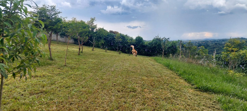 Chácara à venda Centro com 2800m² e 1 quarto por R$ 399.000 - 1313375626-whatsapp-image-2023-01-16-at-17.jpeg