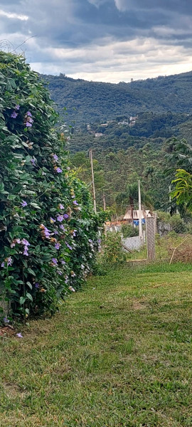 Chácara à venda Centro com 2800m² e 1 quarto por R$ 399.000 - 1477855834-whatsapp-image-2023-01-16-at-17.jpeg